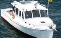 moontide fishing charter